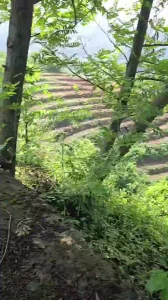 野战就是刺激