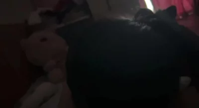 南通约炮