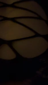 01年母狗