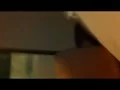 女子炸部队第一部